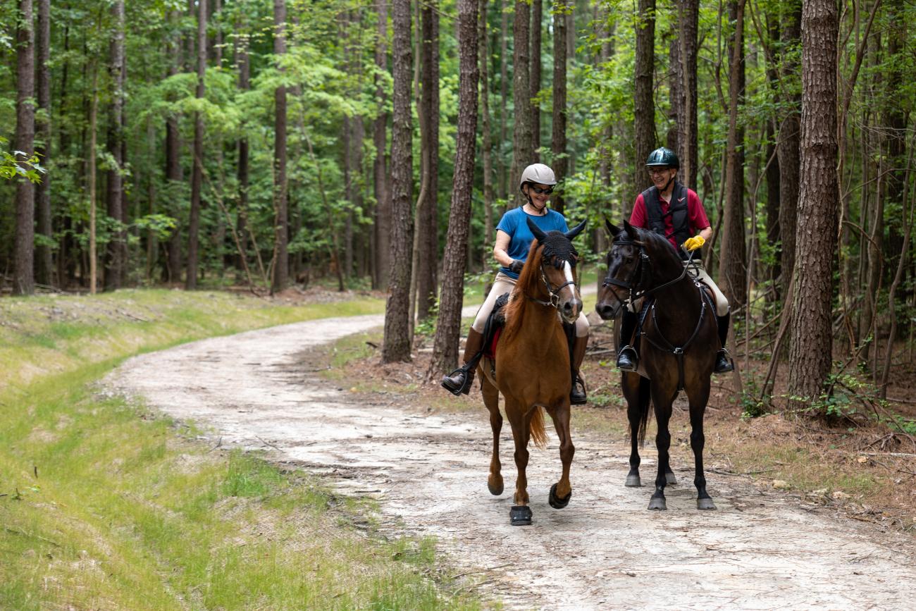 Sandy Pines Visitor Information Wake County Government